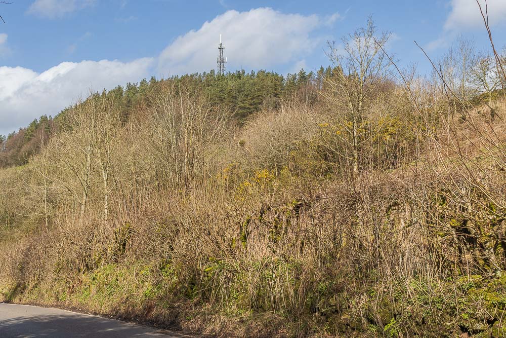 Cromford Moor Cromford Moor